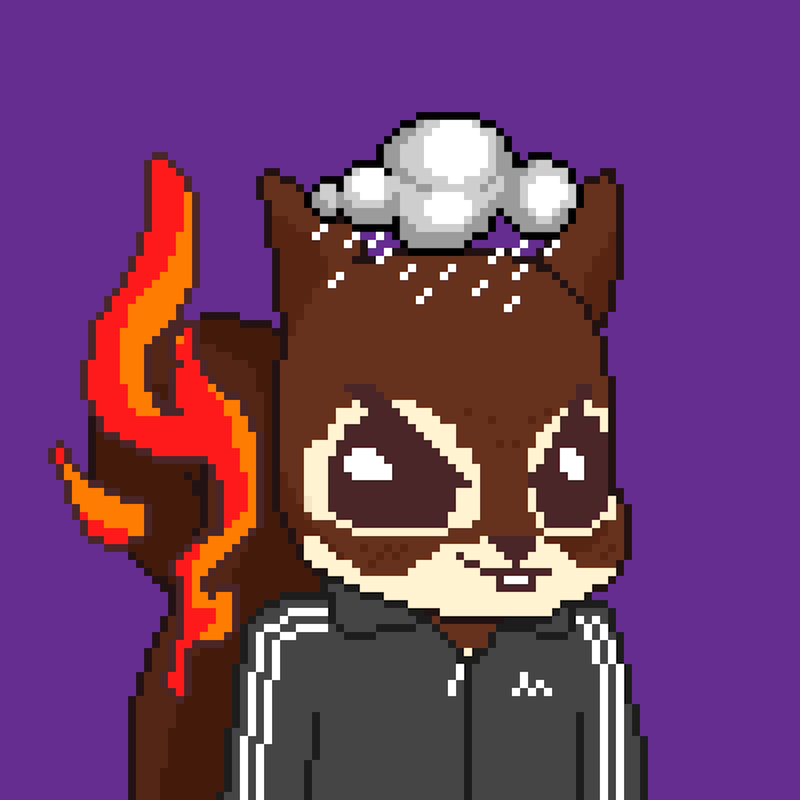 Pixel Squirrels #1728